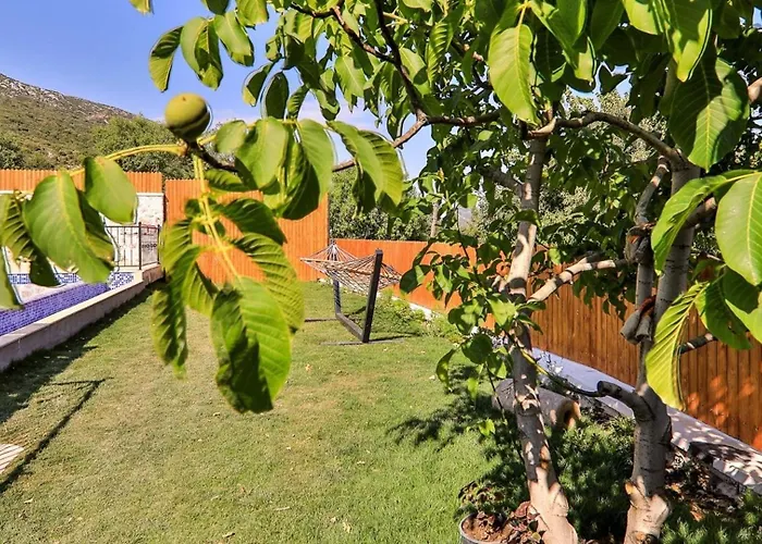 别墅 Hacioglan Village 2 Bedroom